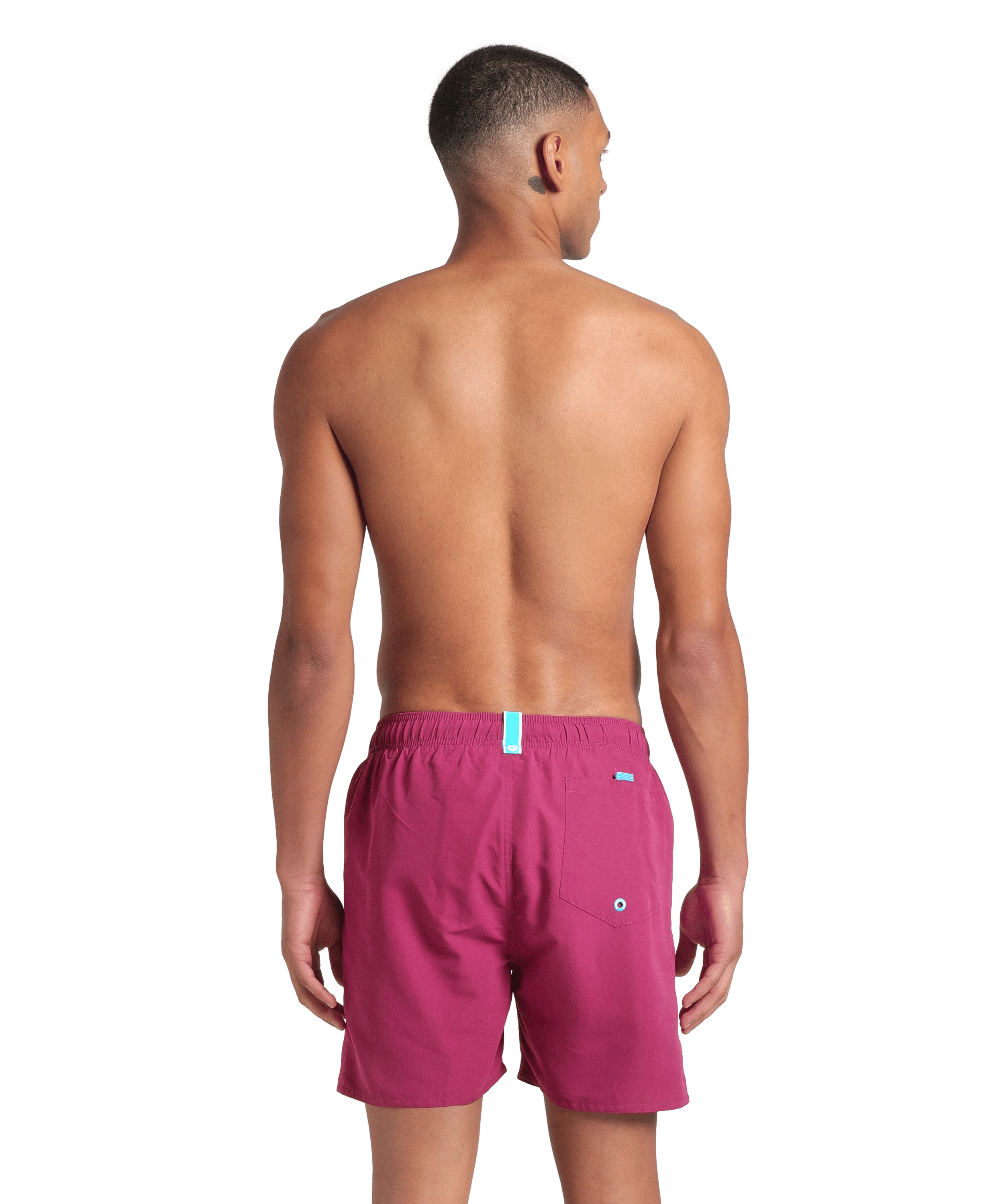 dark purple/calypso coral