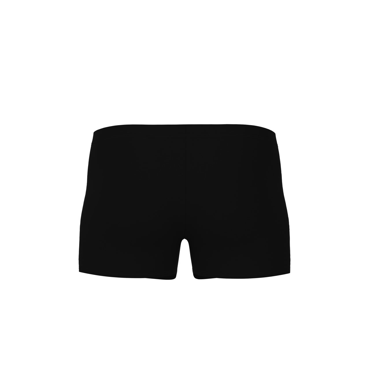 men's arena reflecting swim short