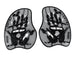 silver/black